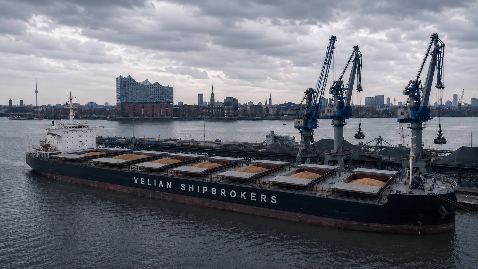 Geared bulk carrier loading grain at a Hamburg terminal on the Elbe, with harbour cranes and the Elbphilharmonie on the skyline behind.